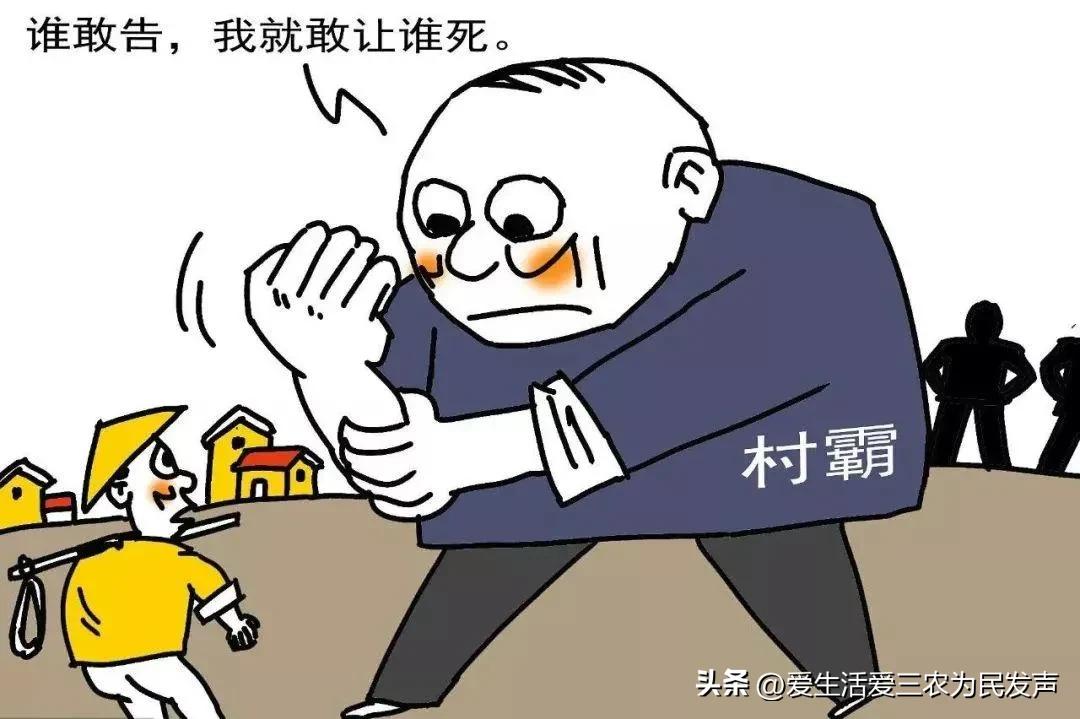 再问专家：农村这么多不合理问题，到底谁来管管？（2）