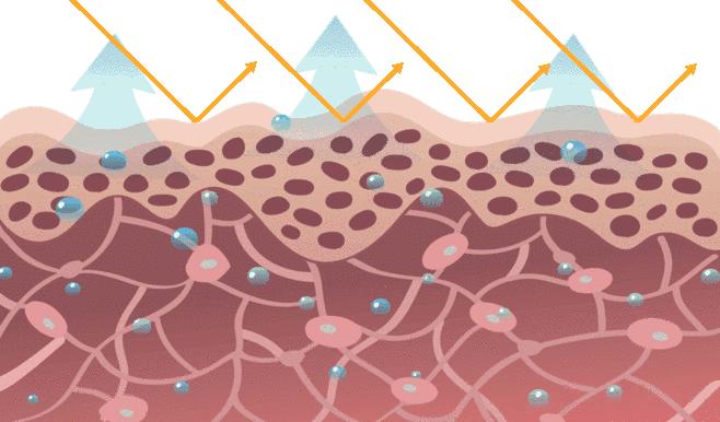 美白还抗老紧致的精华,美白身体猛药