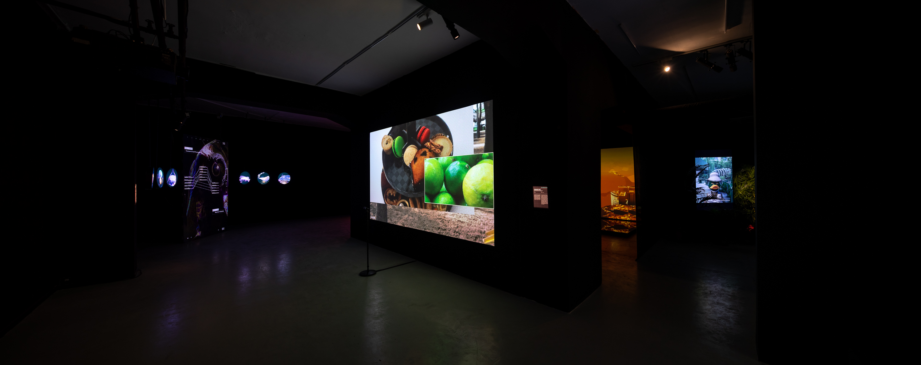 “共同的演化”——开启置身于AI时代的生命想象