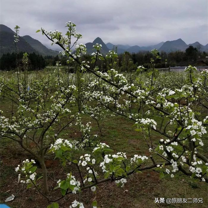 清远阳山二天一夜旅游景点攻略,广州自驾阳山旅游攻略图