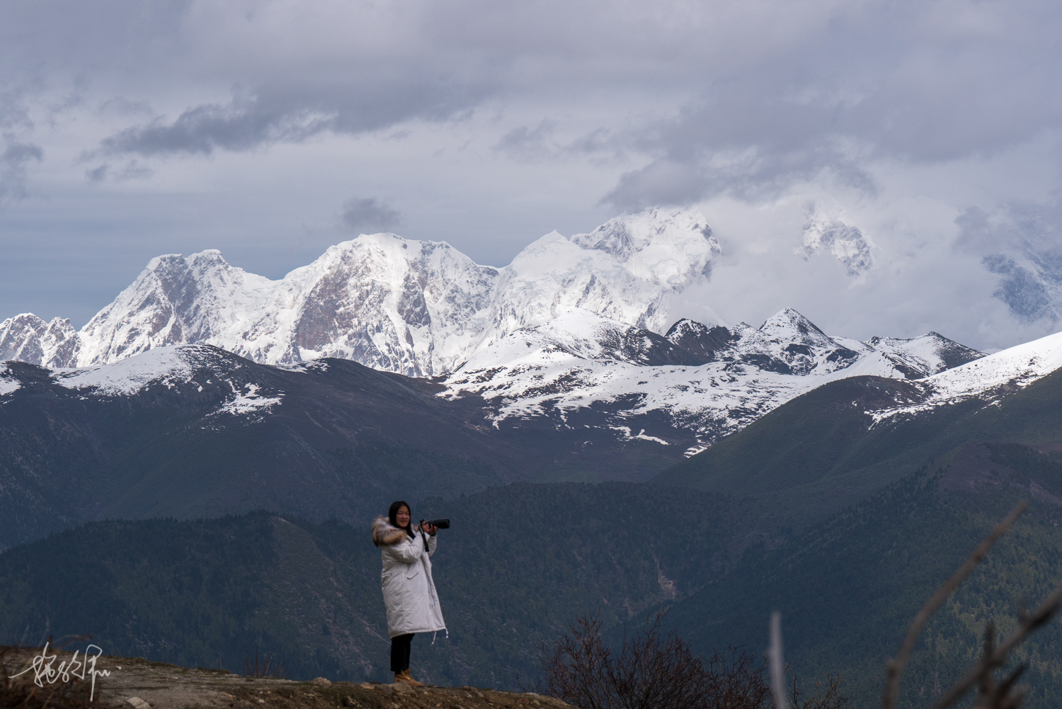 我的2022年度报告,我的2022原版