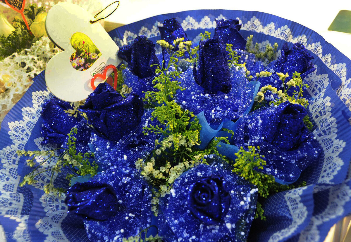 蓝色妖姬图片唯美两朵,蓝色妖姬各种图片