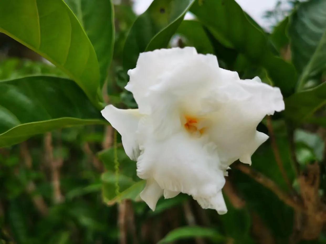 怎样对待和自己翻脸的亲人,怎么对待翻脸的人