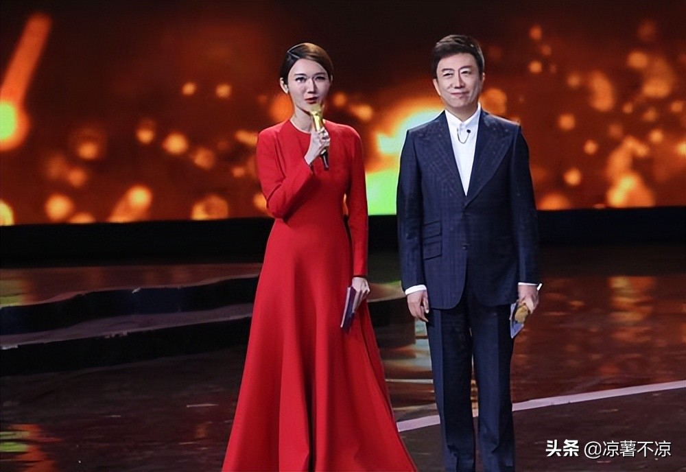 央视十大女主持至今未婚年龄多大,央视的十大著名女主持你最喜欢谁