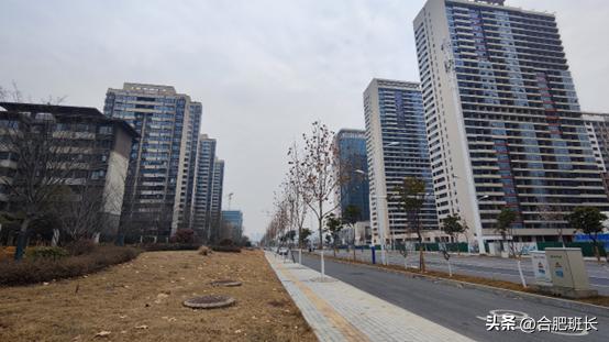 合肥滨湖招商雍华府附近规划,合肥省府中轴招商雍华府