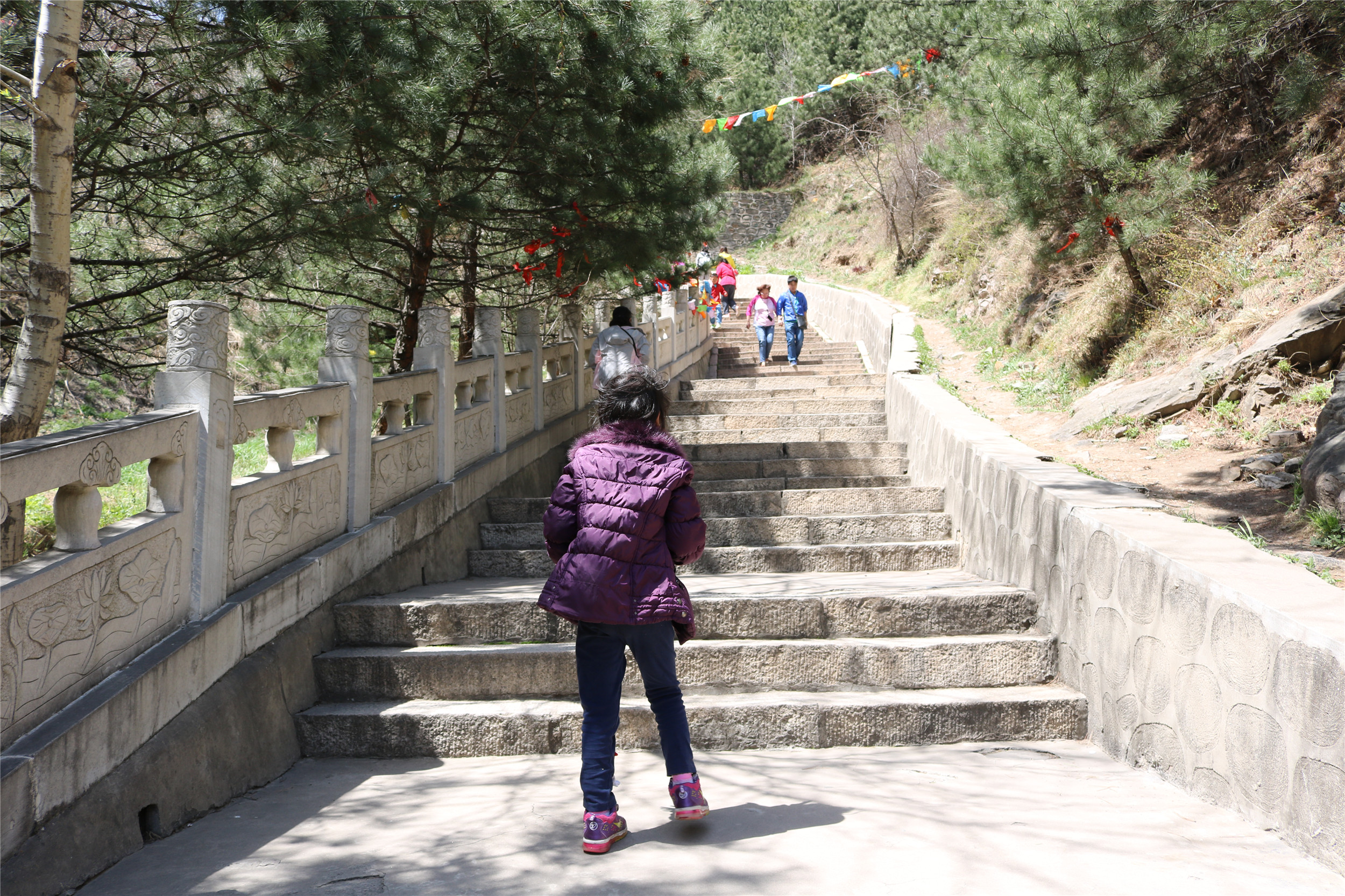 光发心语——读懂天涯海角【001-109】（2024年3月13日）