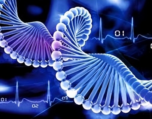 csis首发69分,csis最新局势分析