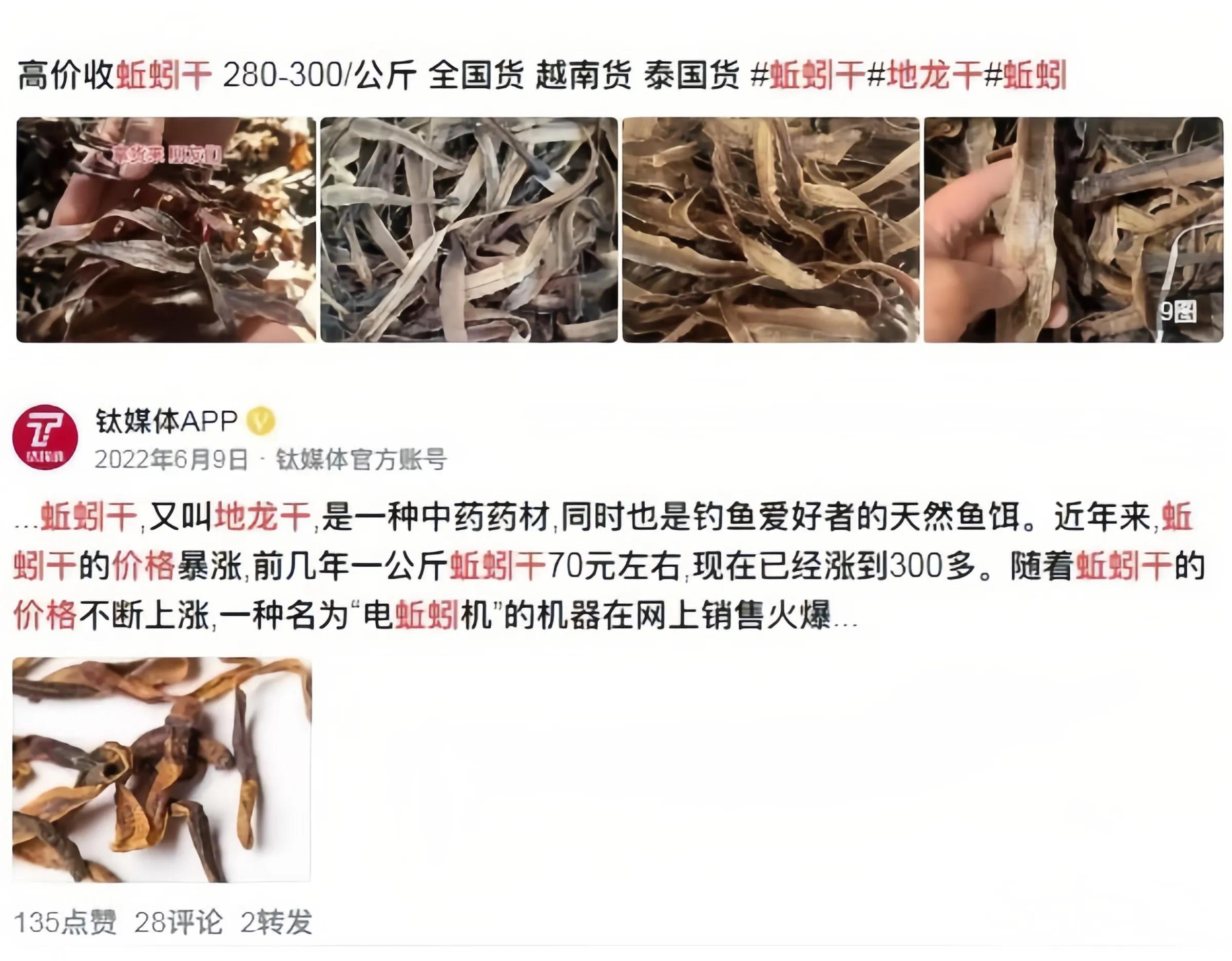 农村100亩地种小麦挣钱吗,承包一百亩地种菜一年能赚多少