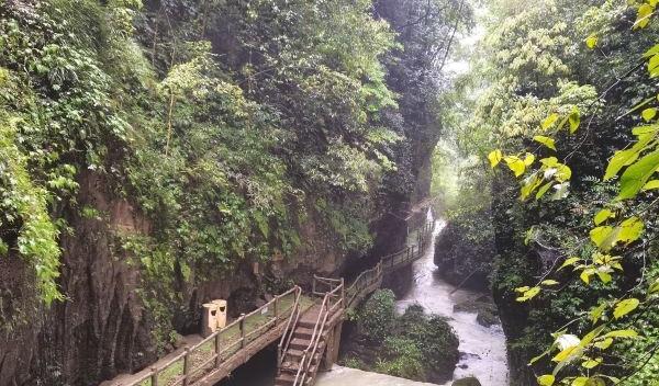 【重庆金佛山】探秘神龙峡，发现黄金大佛的秘密