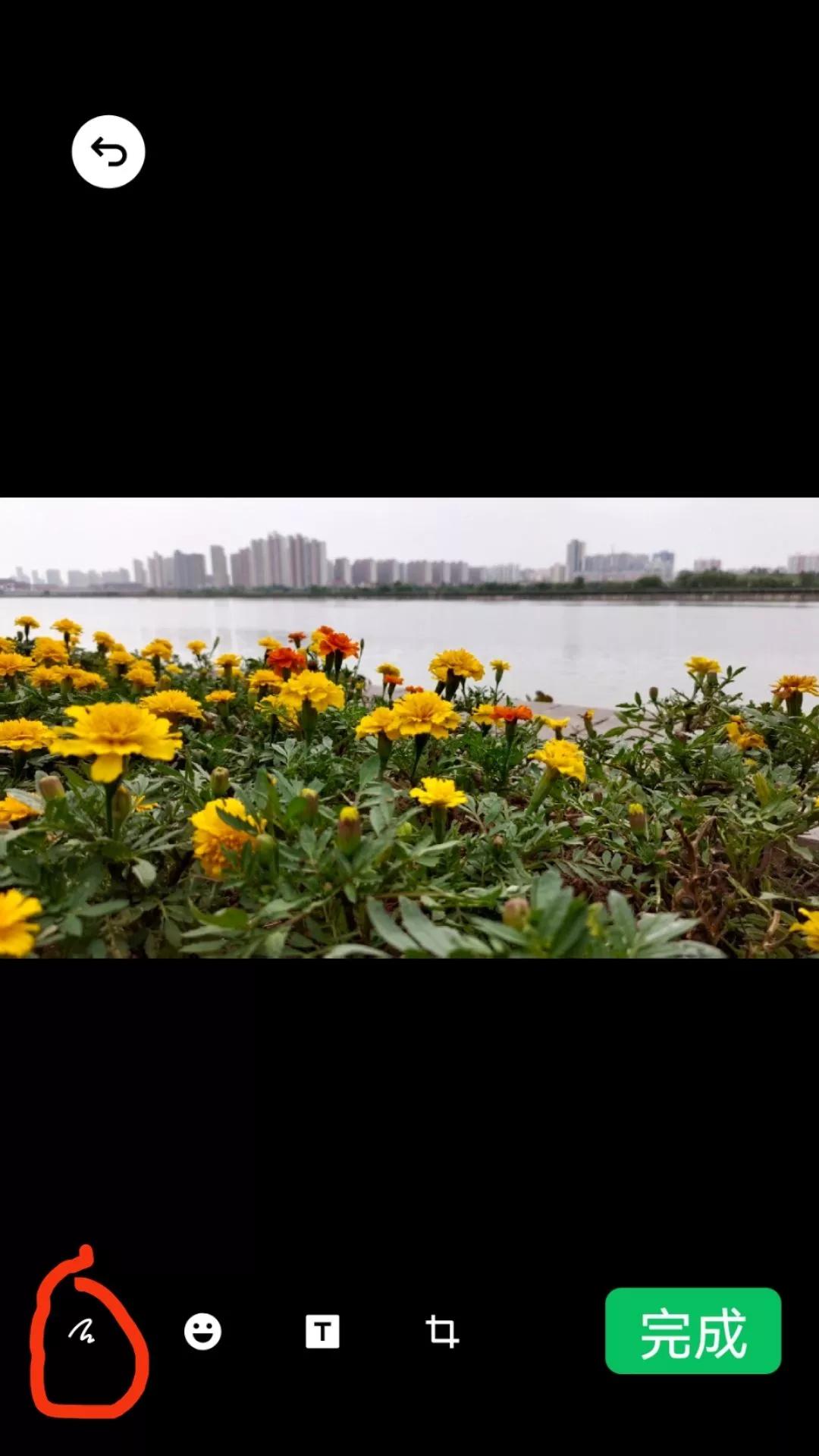 怎样制作问候图片,祝福语手工制作简单又漂亮