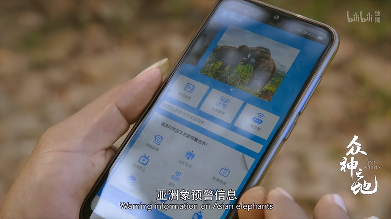 百万粉丝女网红“吃播”后被封杀,网友怒了:别让孩子毁于无知