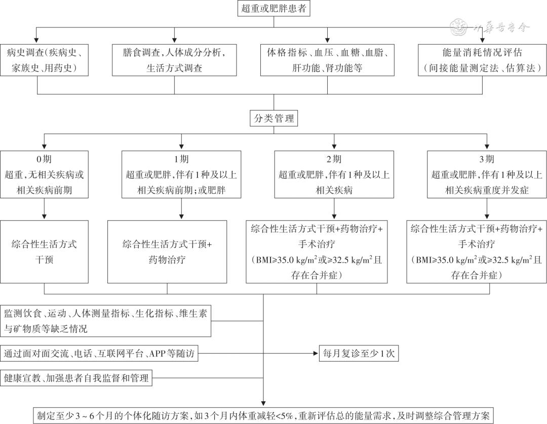 超重和肥胖的健康指导,超重和肥胖的标准