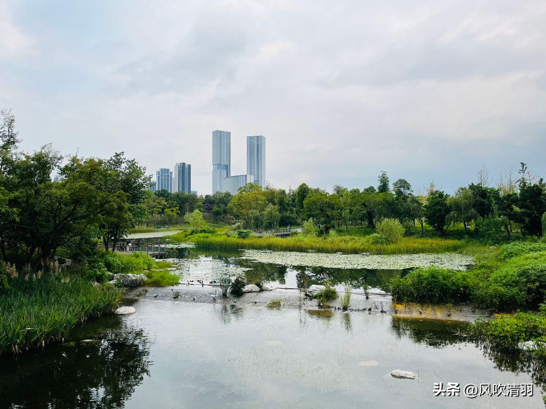 成都免费最适合夜晚的公园,成都城区公园游玩
