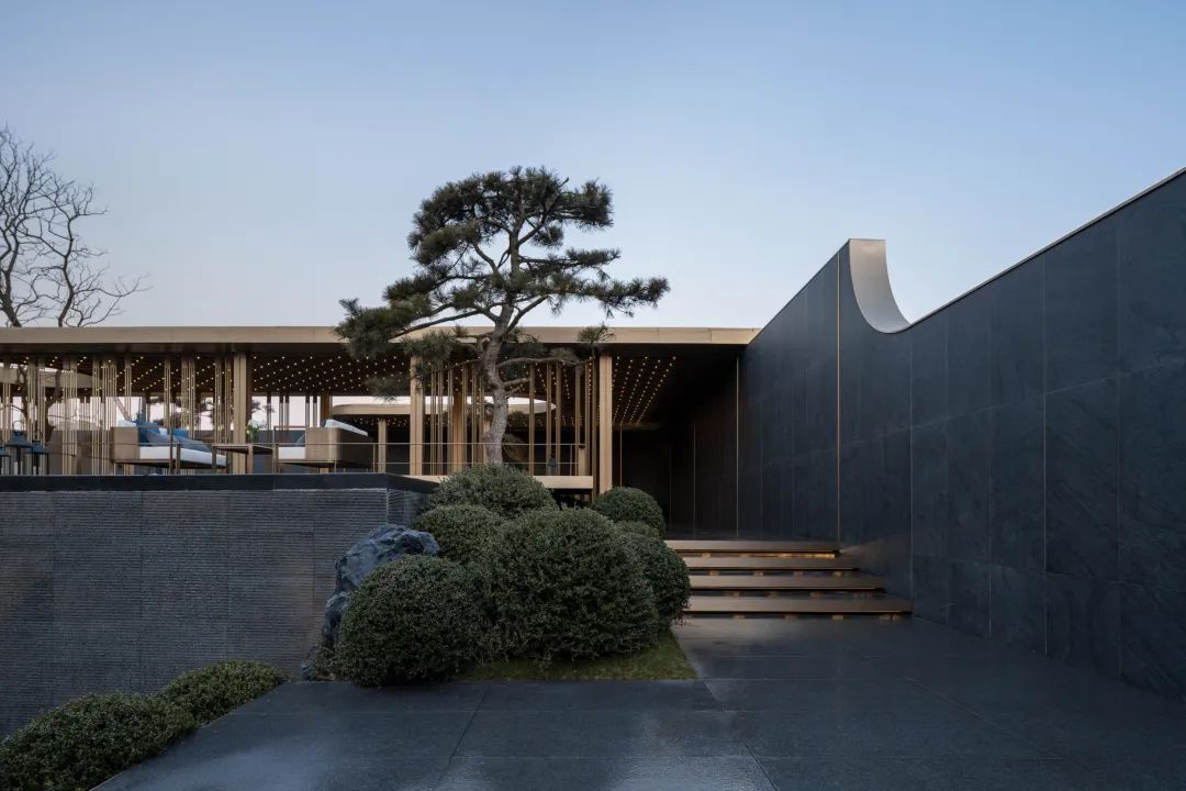 松树的文化内涵和精神品质,松树给人什么样的美感