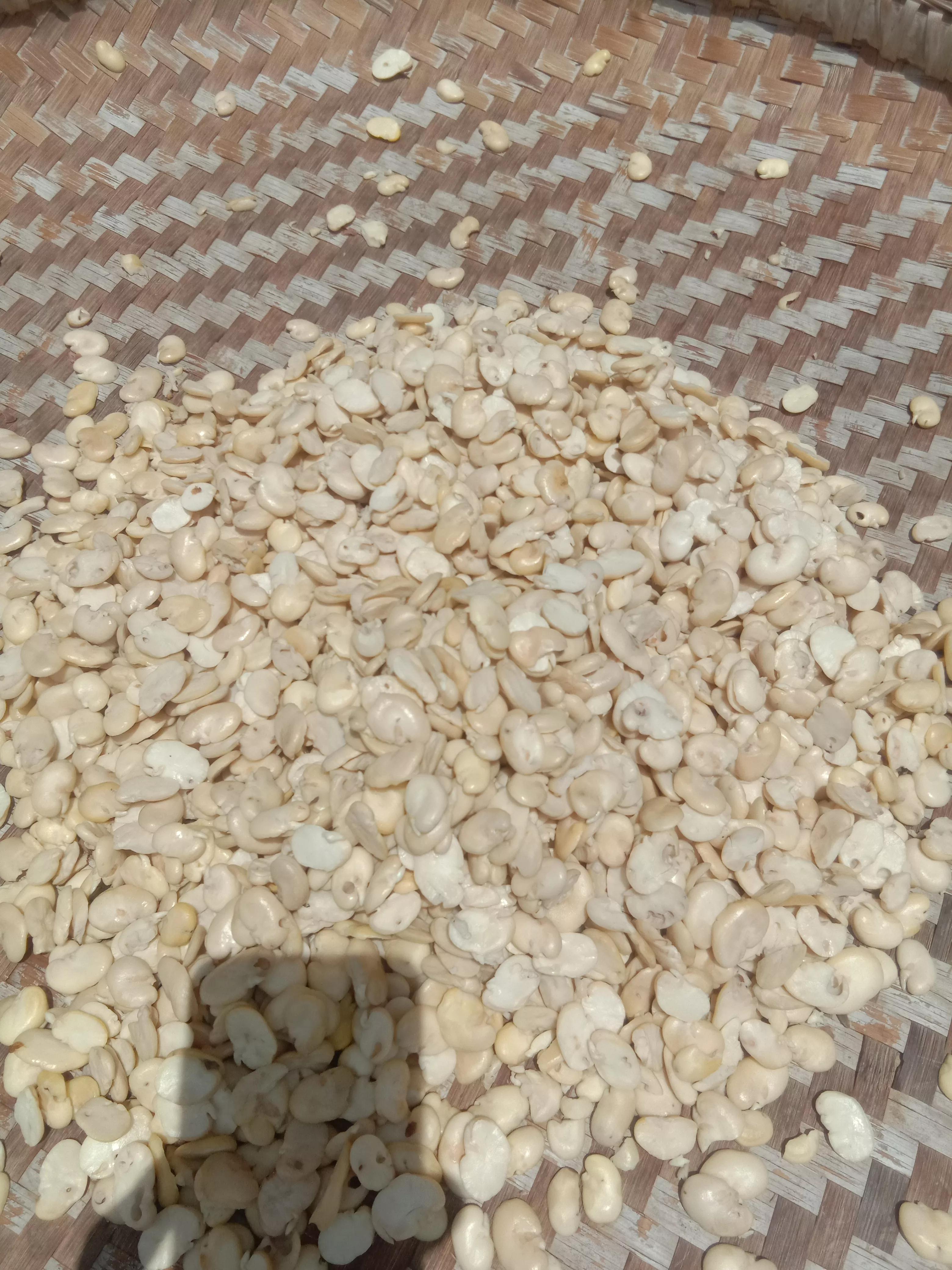 豆瓣酱中的绿霉，是黄曲霉毒素吗？