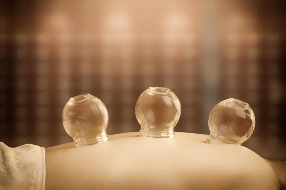 麦迪森养生视频,麦迪森滋补保健