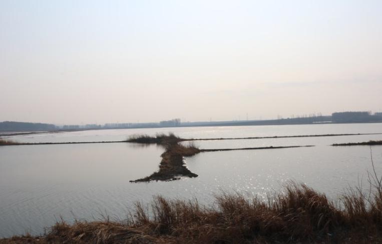 长城炮换固铂at3,固铂at3lt配什么轮毂