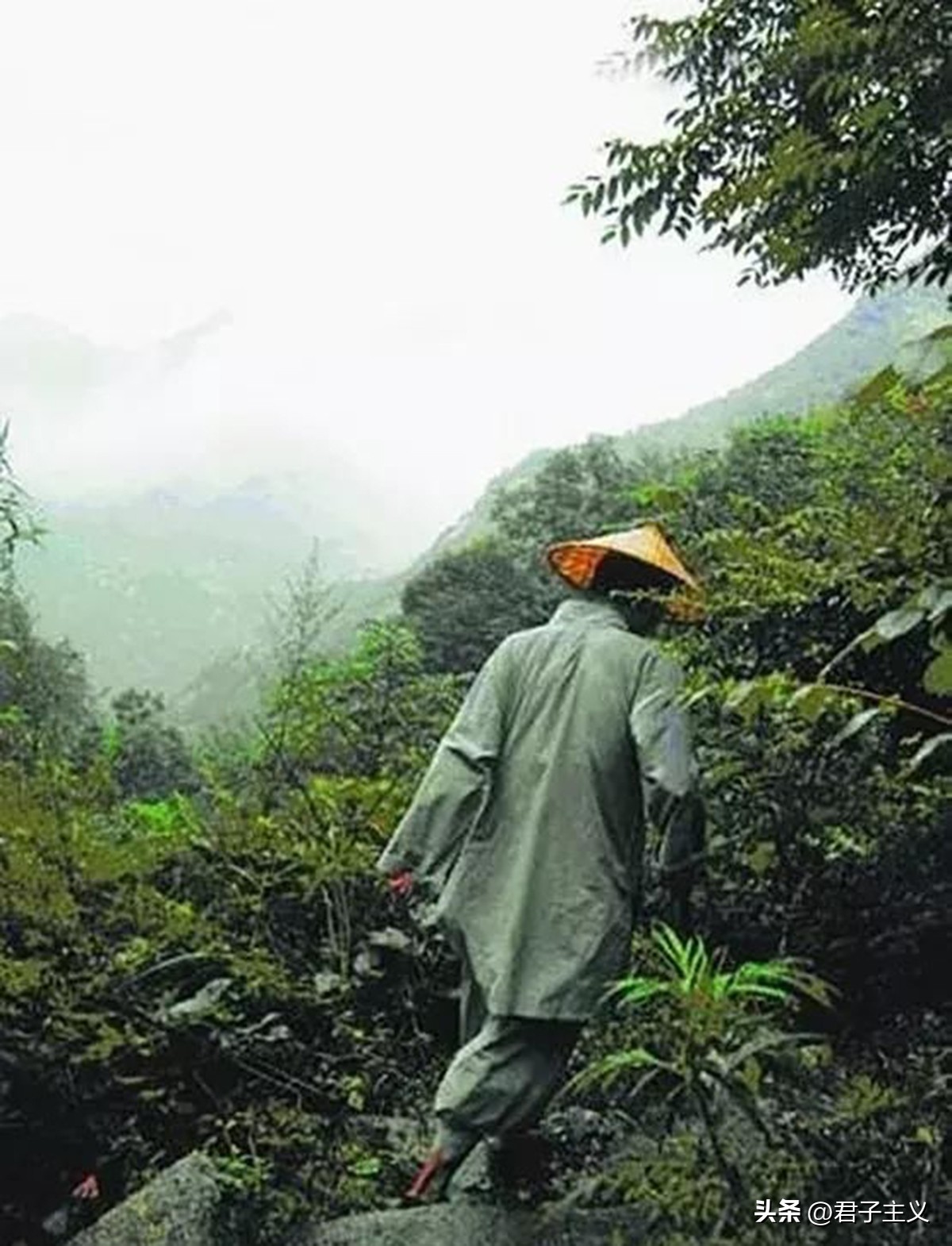 父为子隐是什么,父为子隐