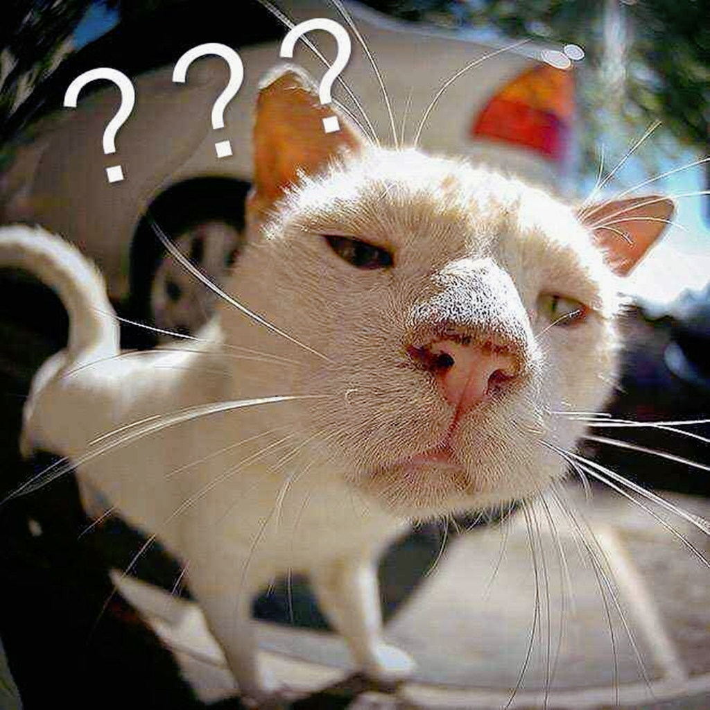 2010到2019十大流行语,回忆杀盘点