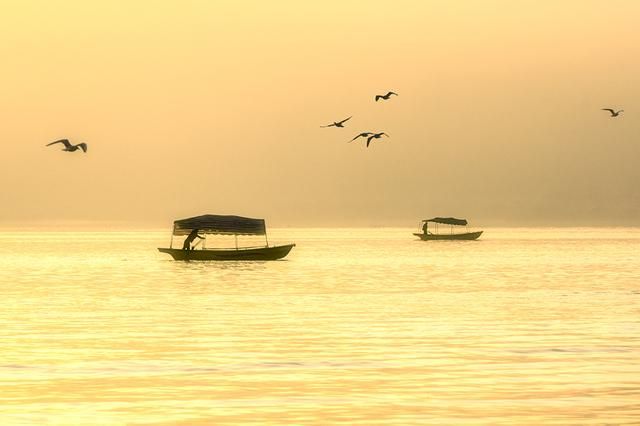 十大古诗词名句大全,古诗词经典唯美名句加解读