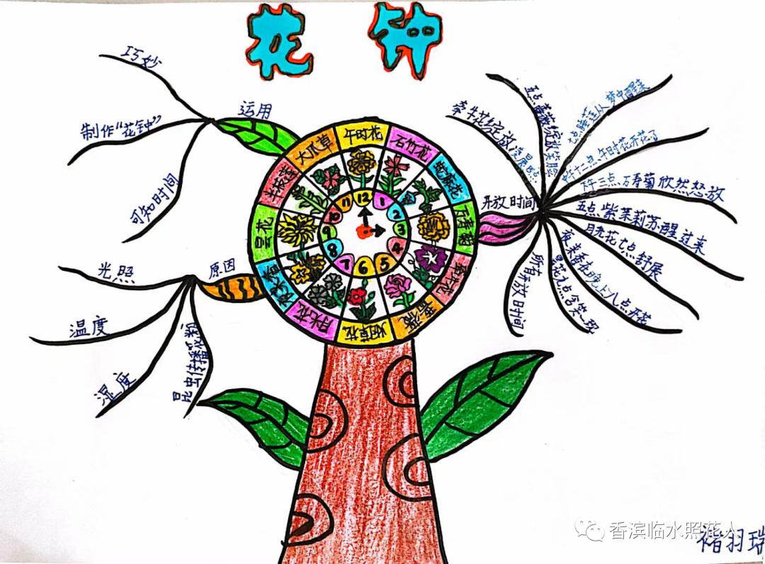 三年级下册语文花钟思维导图简单,三年级下册第13课花钟做思维导图