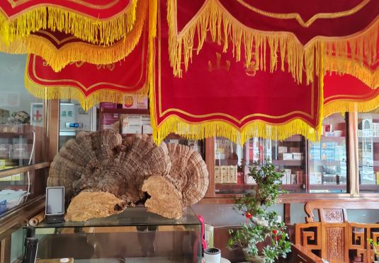 仁医妙手——郭金忠