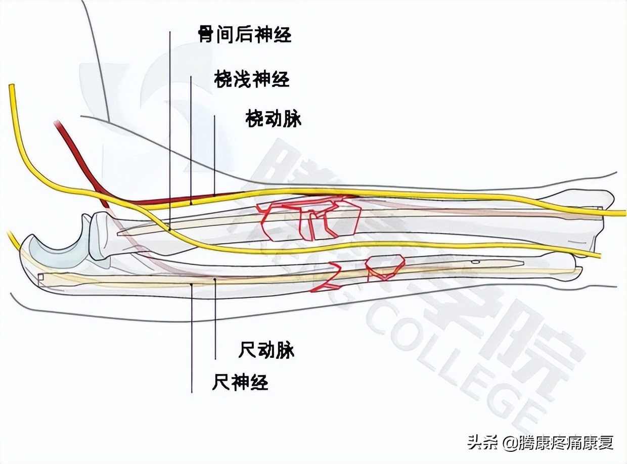 胳膊与肩膀相连处疼痛是什么原因,左胳膊上臂疼痛是什么原因造成的