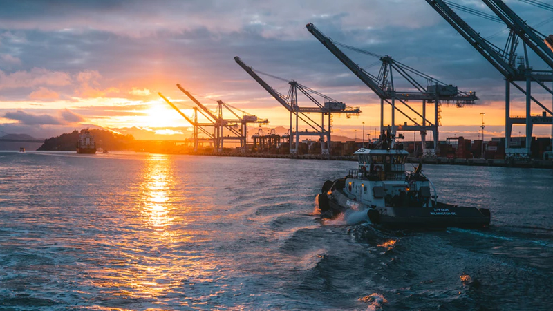 曾是美国铁哥们的沙特，为何撇开美国，反倒斥巨资向中国求购*器武**