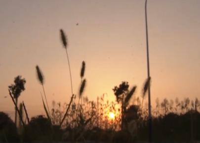 99年河南特大杀人案,2000年河南特大杀人案