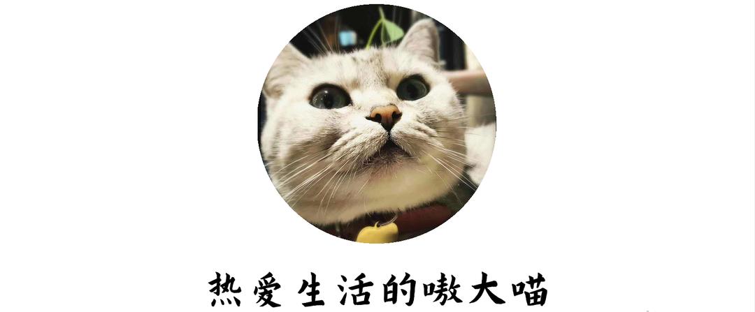 大体重跑步机需要穿护膝吗,跑步机入门使用