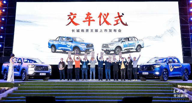 长城炮商用炮11.98万落地,长城炮19.98万