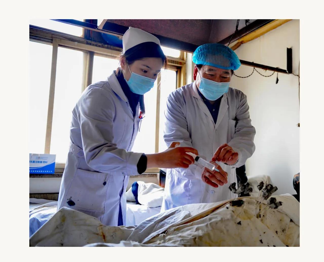 「*今条头日**」披肝沥胆赤诚心敬佑苍生入杏林