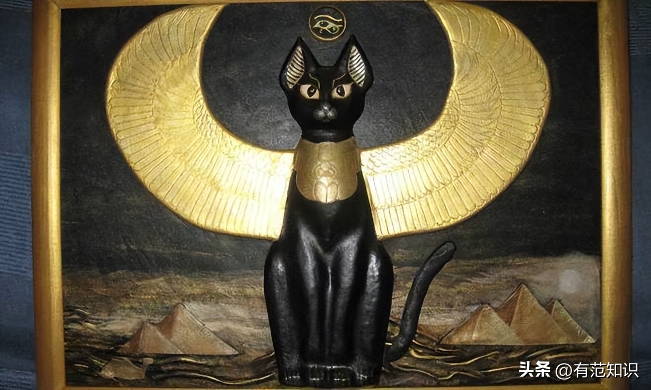古埃及和猫的历史故事,古埃及人对猫的崇拜