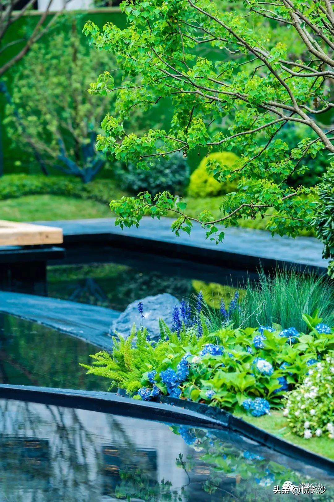 洋房示范区惊艳亮相,实景示范区惊艳全城