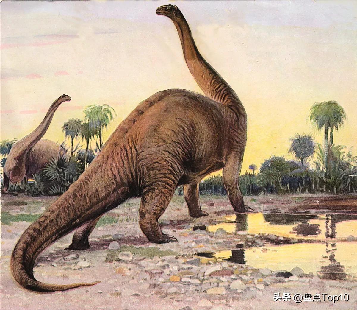 体型最大的十种肉食恐龙,十大食肉恐龙体型排名
