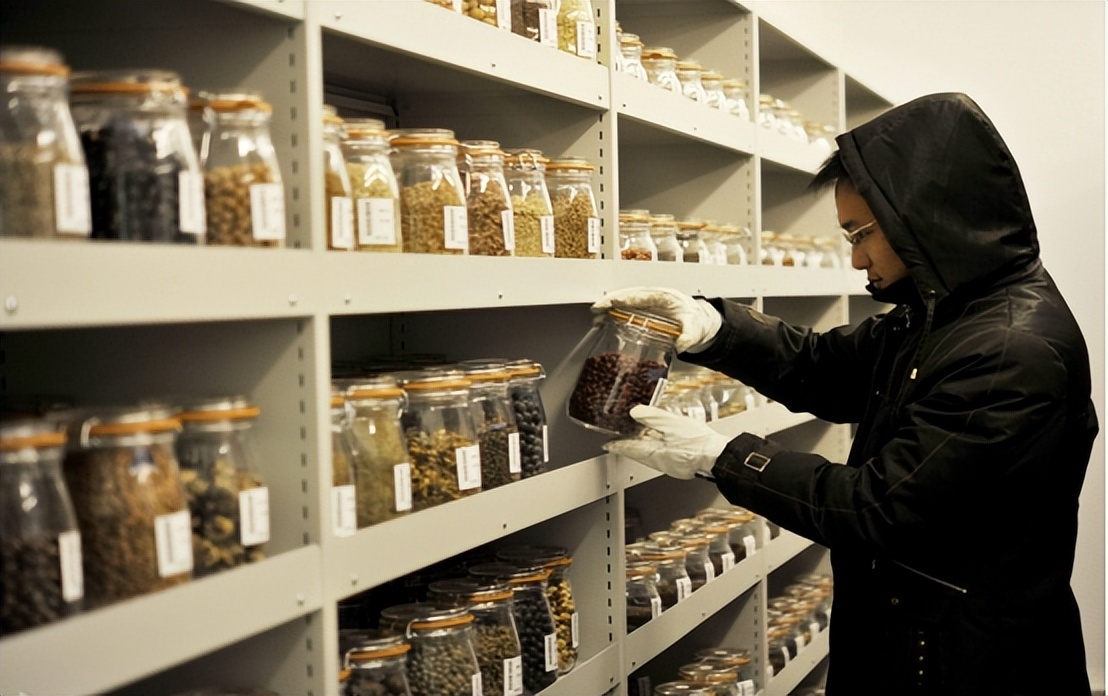 一袋10克的西兰花种子多少钱,一袋西兰花种子多少钱
