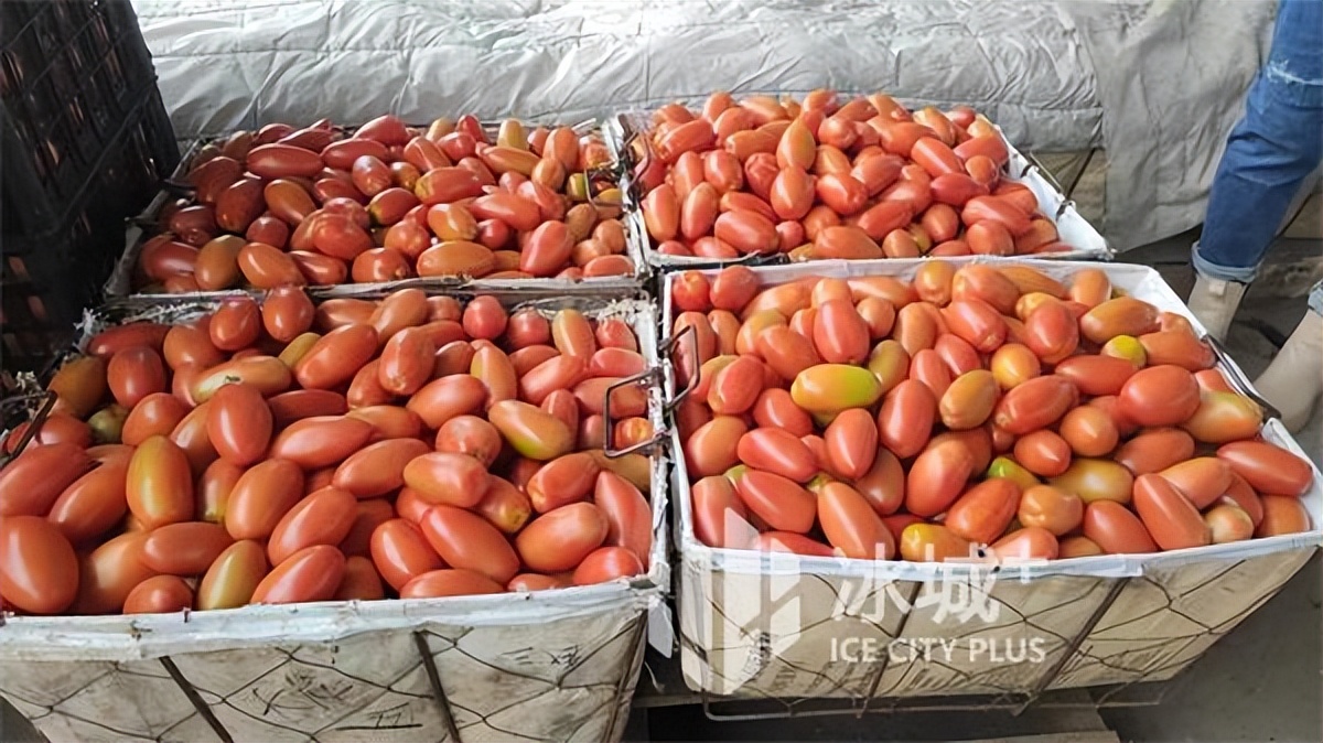 防疫农产品春耕,农批市场防疫保供方案