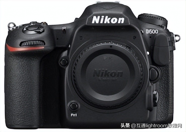 大变焦数码相机拍摄鸟类,最佳风光摄影相机推荐