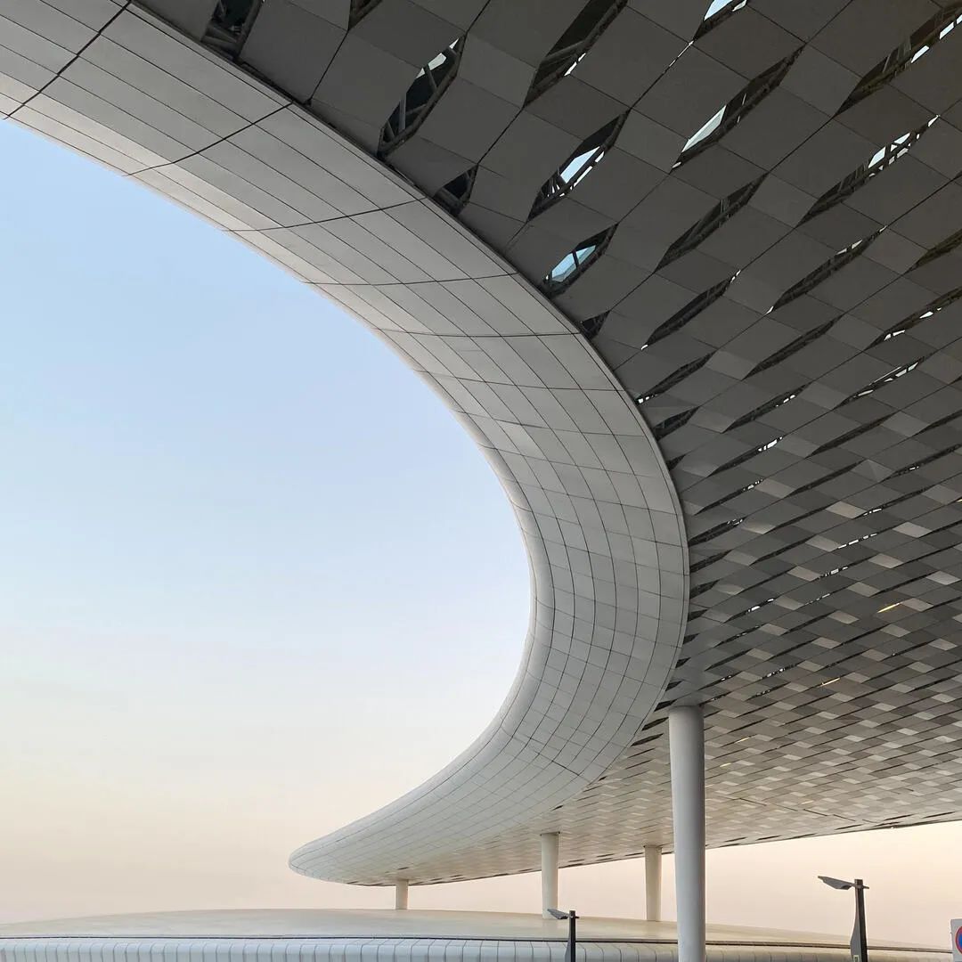 上海市白玉兰荣誉奖,上海白玉兰荣誉奖2020