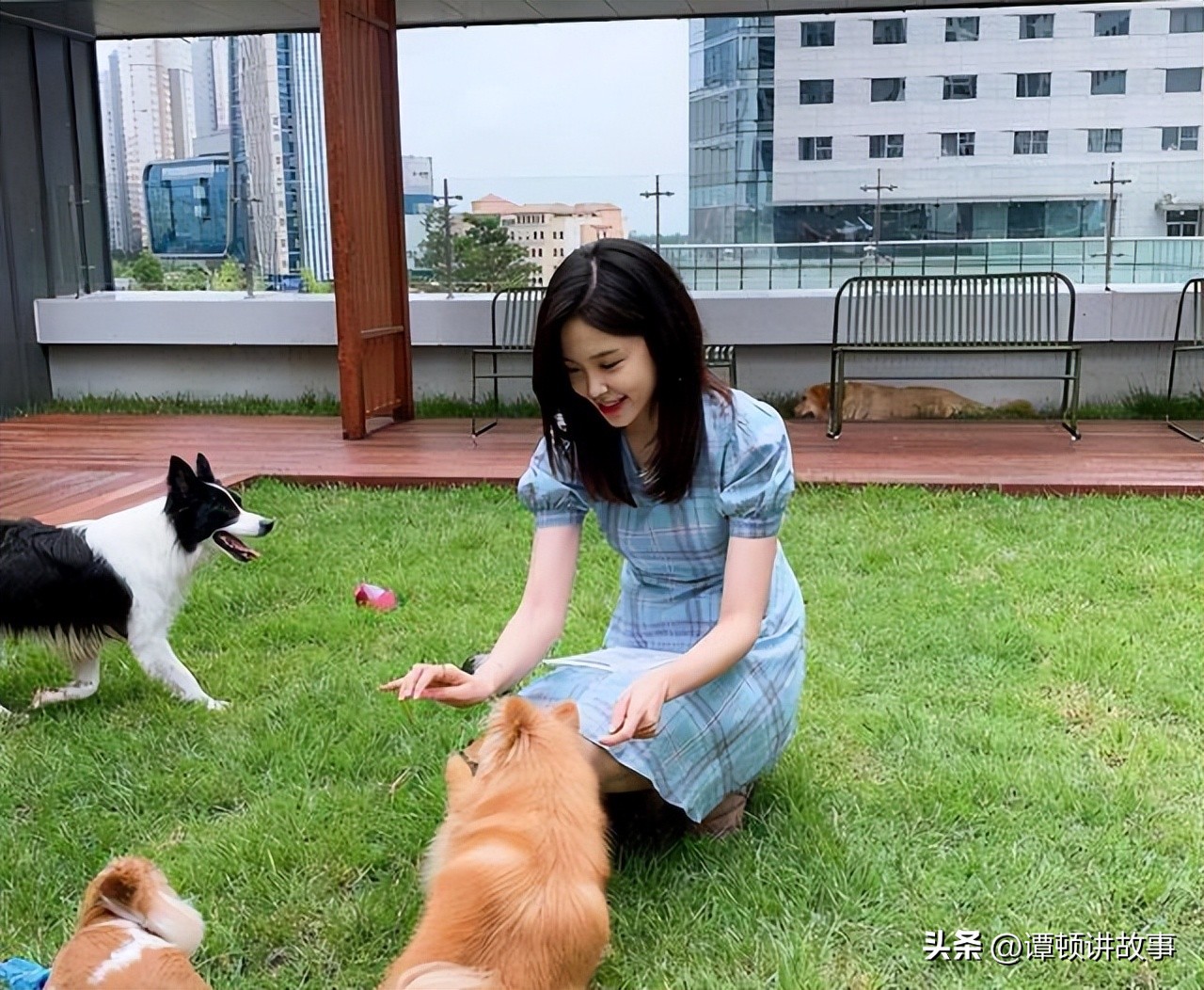 世界杯最惊艳的女球员,世界杯十大养眼女球迷