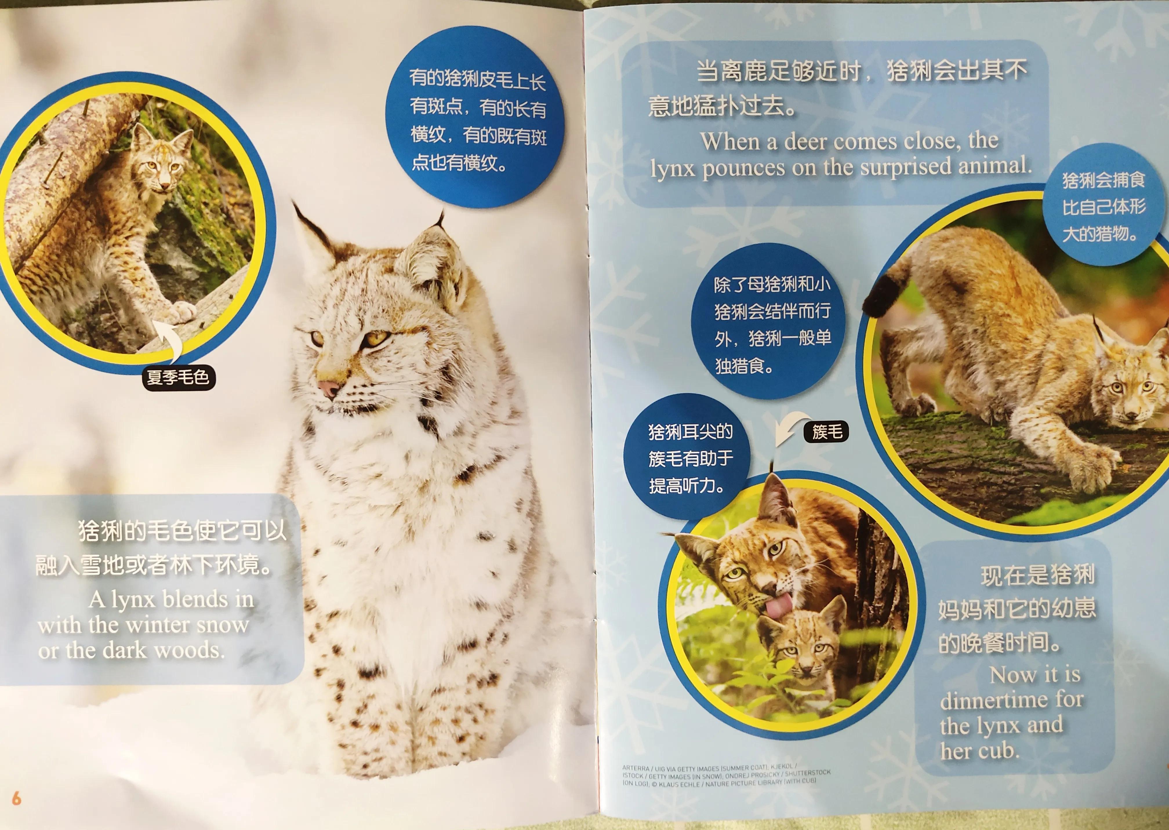 环球少年地理幼儿版2023过刊,环球少年地理21年过刊