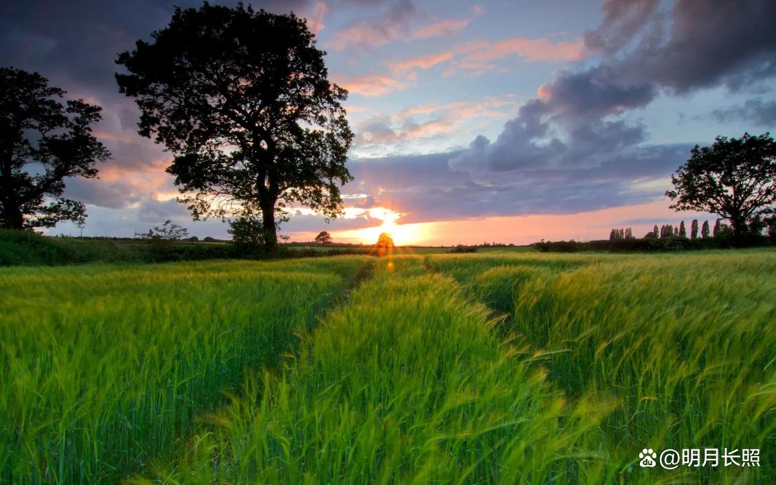 苏轼遭遇挫折坦然面对是哪首词,苏轼得之坦然失之淡然
