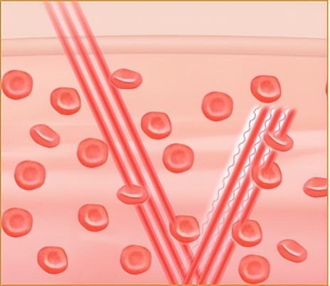 监测心率最好的智能手表,能监测心率和血压的智能手表