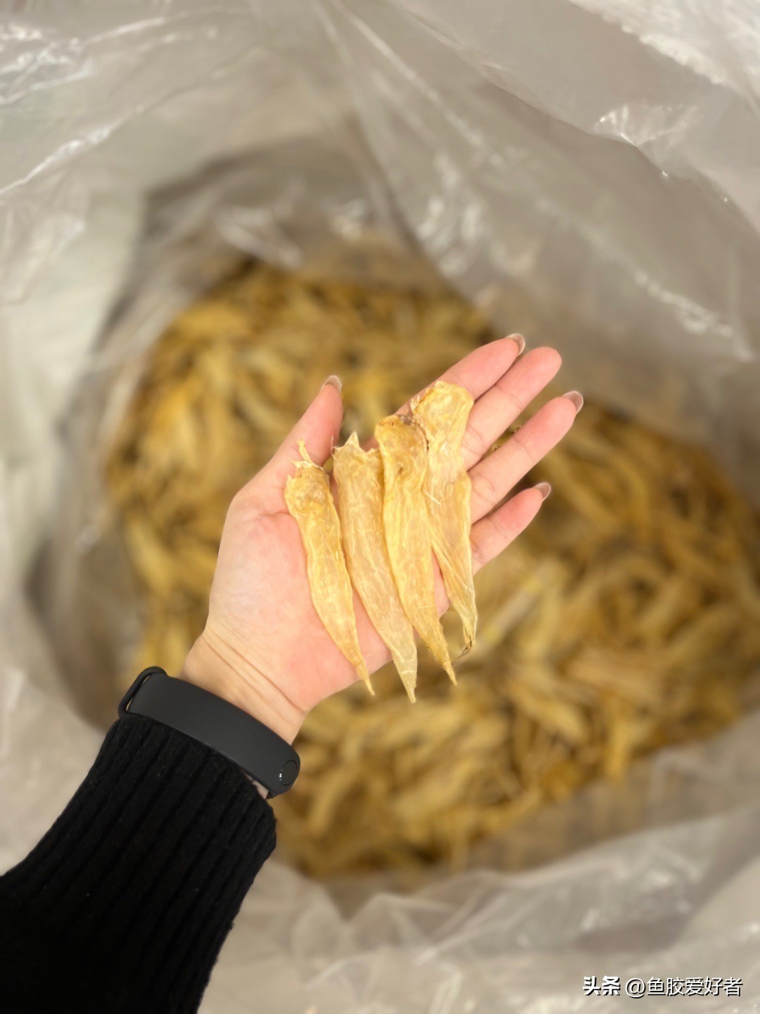 广东的鱼胶是不是智商税,吃鱼胶是交智商税吗