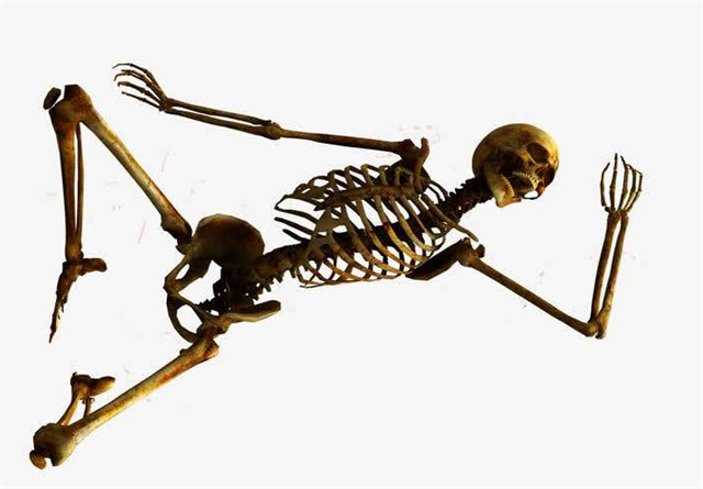 骨头对于人体来说是非常重要的,如果人体没有骨头会怎么样