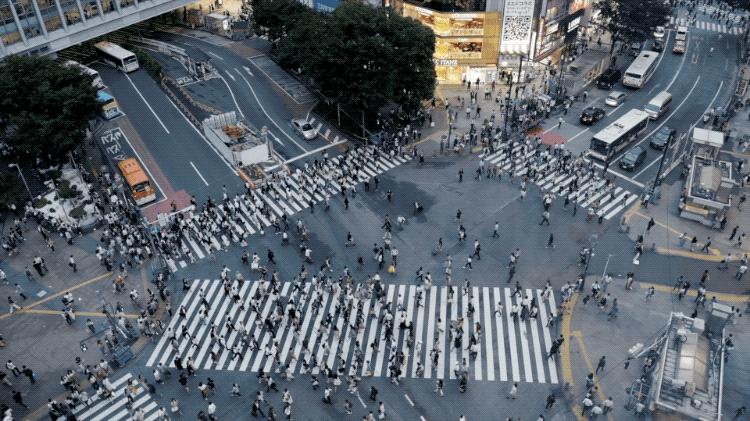 令人难忘的老师800字初中作文,难忘的语文老师