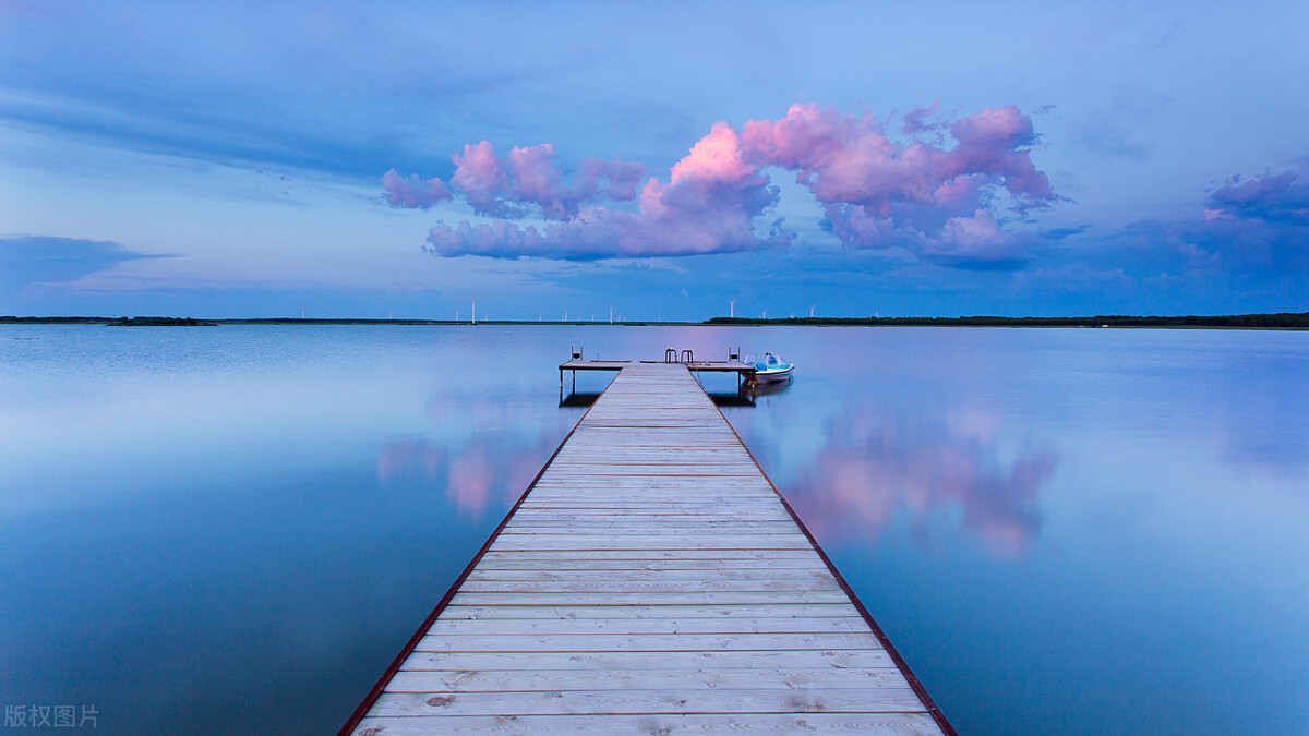 被人算计后最聪明的做法,被人算计了怎么说话