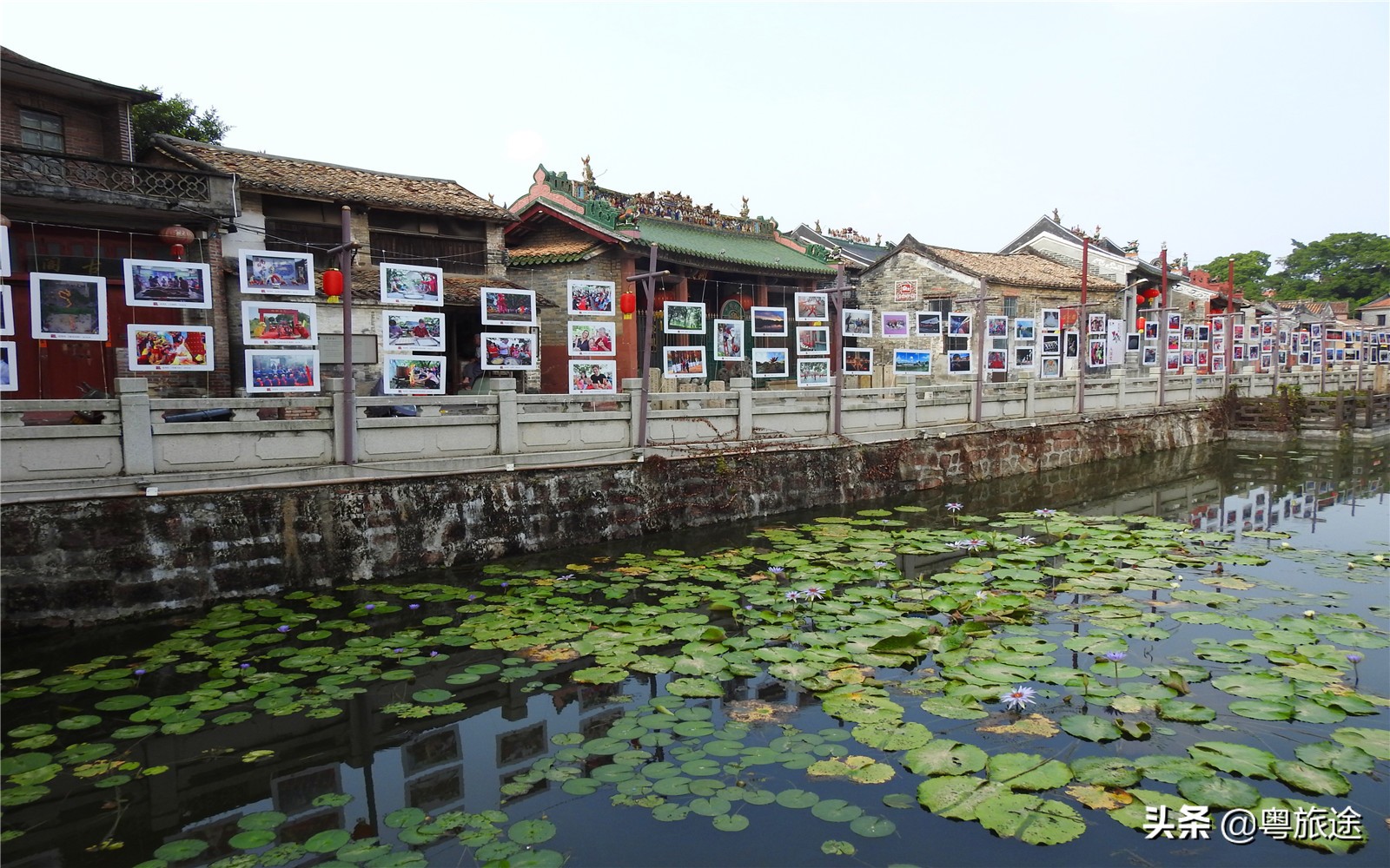 东莞一日游必去免费十大景点,东莞十大景区哪个最值得去
