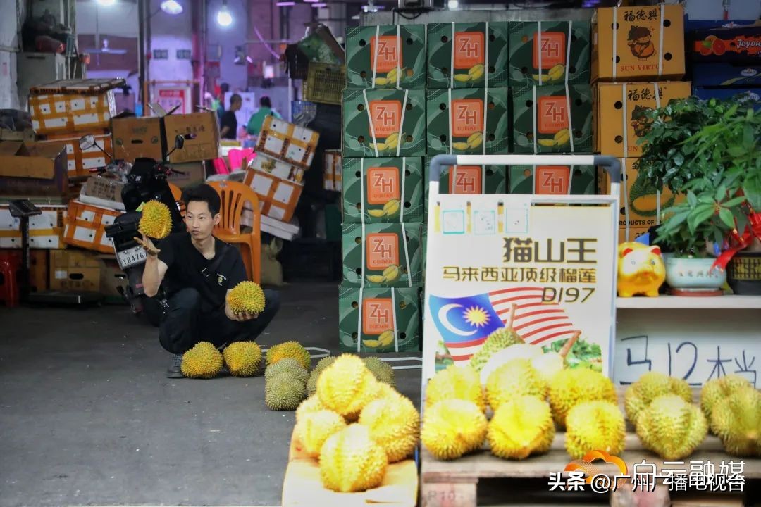 广州哪里榴莲批发最便宜,进口的榴莲多少钱一斤