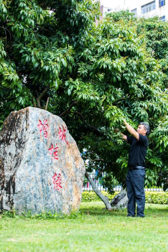 农度|茘枝标价千元一斤？这届网友清醒：没毛病